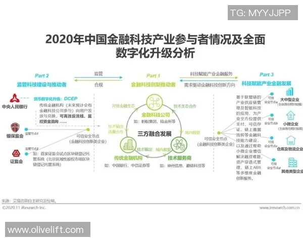 广州篮球队实力分析与未来发展展望探讨