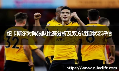 纽卡斯尔对阵狼队比赛分析及双方近期状态评估